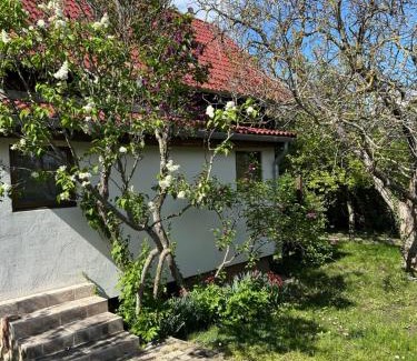 Balatonakarattya House | Birkenhof Vendégház