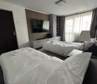Petrila Apartment | Biverse Prestige