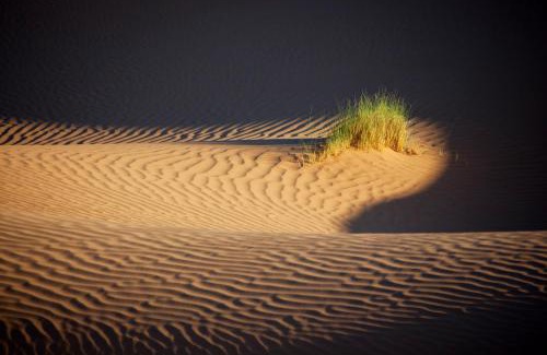 M'Hamid El Ghizlane Bed & Breakfast | Bivouac La Dune Blanche