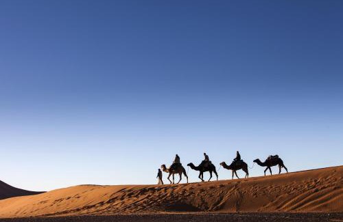 M'Hamid El Ghizlane Other | Bivouac M'hamid Le Pacha