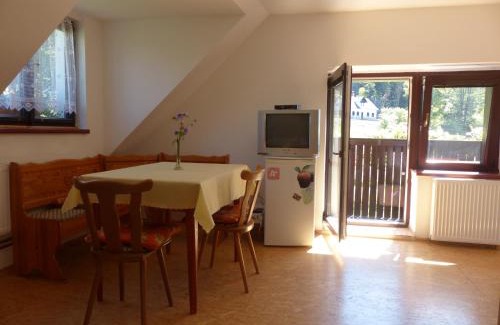 Nicov House | Bizoní dvůr