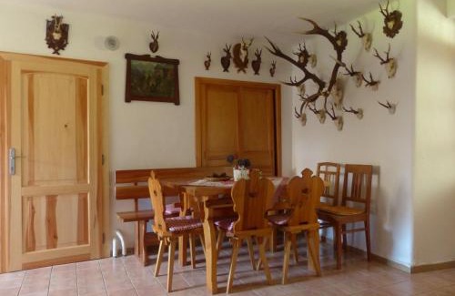 Nicov House | Bizoní dvůr
