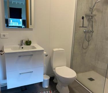 Vesturbyggð Apartment | Bjarkarholt Guesthouse