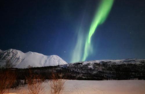 Lyngen House | Blabergan Lodge