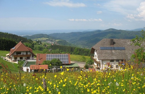 Horben Apartment | Black Forest view, type B, 90 sqm, 1st floor, max. 4 pers.