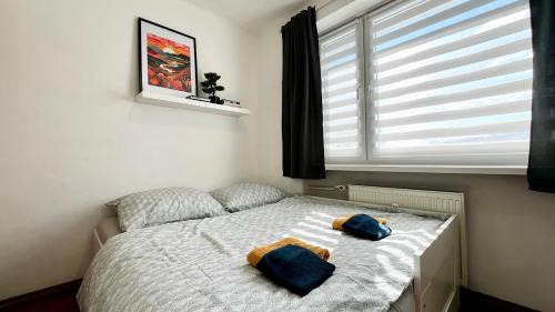 Radvan Apartment | Black Lotus II l Downtown Apartment l Free Parking & Fresh Coffee l 24hr Access