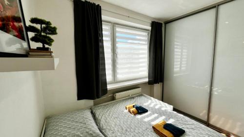 Radvan Apartment | Black Lotus II l Downtown Apartment l Free Parking & Fresh Coffee l 24hr Access