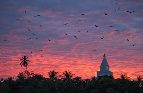 Debarawewa Hotel | Black Panther Yala