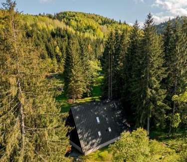 Toplita Ski Chalet | Black Raven Cabin