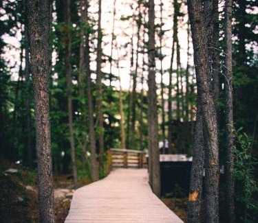 Whitehorse House | Black Spruce - Yellow Door