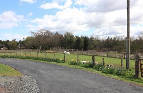 Shotts House | Blairmains Guest House