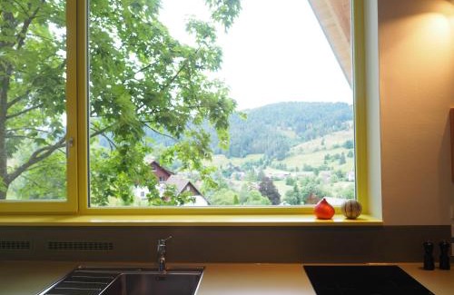 St. Blasien House | Bleibe Menzenschwand