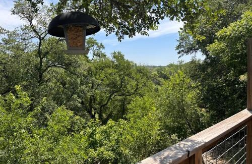 Bandera House | Blessed Bull at the Creek
