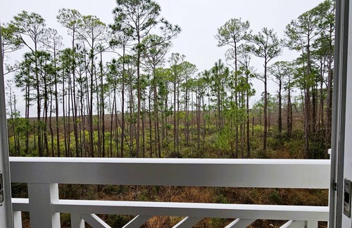 Baytowne Wharf Condo | Bliss by the bay - Sandestin Golf & Beach Resort Studio