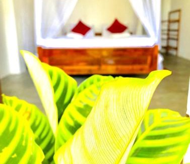 Ambagollapathana House | Blissful Haven