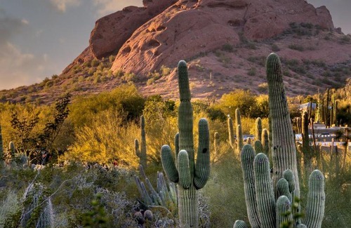 Papago Parkway House | Blissful Zen close to Old town Scottsdale.
