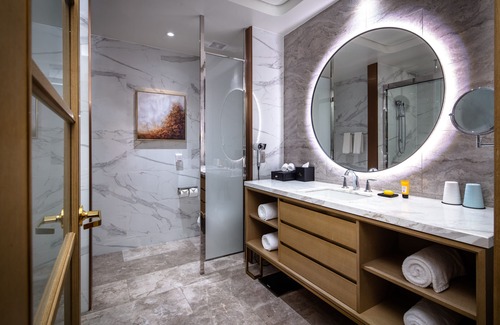 Texas Medical Center Hotel | Blossom Hotel Houston, Curio Collection by Hilton