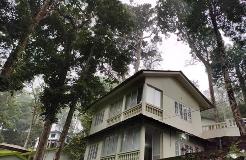 Pallivasal House | Blossom Valley Pothamedu - A Heavenly retreat