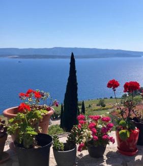 Murvica House | Blue Dream