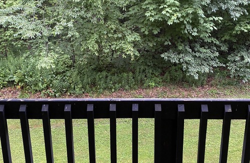 Claysburg Condo | Blue Knob Condo - 2/Queen Bedrooms, 2/Full Baths, Indoor Pool, Wet Bar & WiFi
