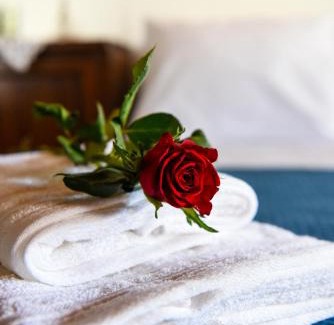 Skiathos Apartment | Blue Nest - Skiathos Nests