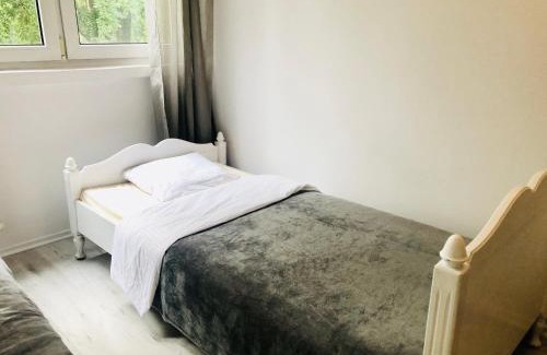 Srodmiescie Apartment | Blue River - Bacciarellego