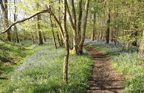 Brackley Apartment | Bluebell Cottage at The Old Tractor Barn
