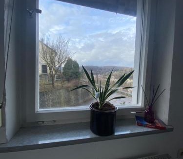 Ehrenstein Apartment | Bluestone Appartments - 26qm free and near parking