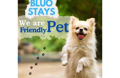 Greater Kailash Apartment | BluO Studio - M Block Mkt Greater Kailash