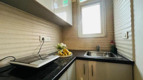 Gurugram Apartment | BluO Studio1 Golf Course Road, Gym, Balcony Garden