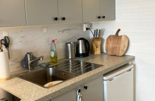 Taftea Apartment | Boat house with direct connection to the sea | SE23003