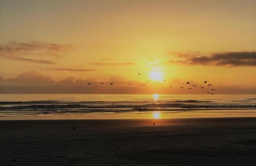 East Wind South Apartment | Bob's Beachin Dream - 5040S