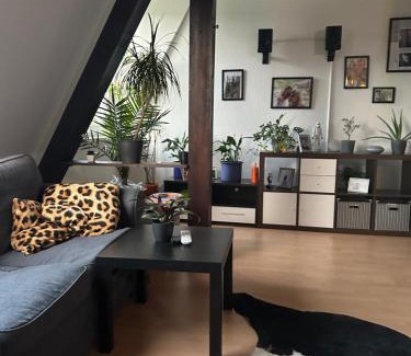 Auf den Holln Apartment | Bochumer Dachnest