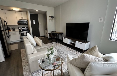 Downtown Des Moines Apartment | Boho Box- DT DSM Skyline view