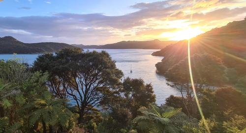 Great Barrier Island Apartment | Boho Hill Apartment - Great Barrier Island Escape