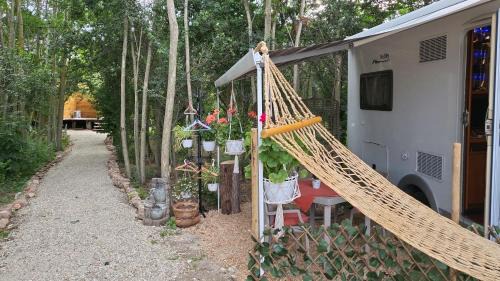 Pecineaga Other | Boho Marine