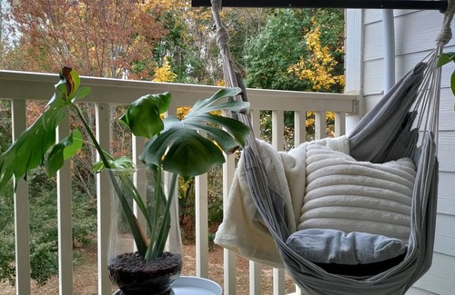 Alpharetta Apartment | Boho Treehouse 1-bedroom apartment ALPHARETTA, HALCYON, BIG CREEK GREENWAYn