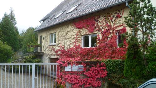 Hindisheim Bed & Breakfast | Bois Joli de la Freyère