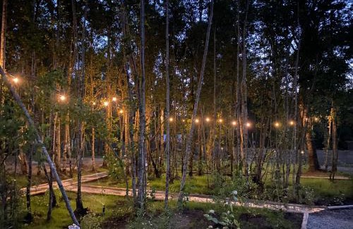 Pucon Resort | Boker Tov Pucon