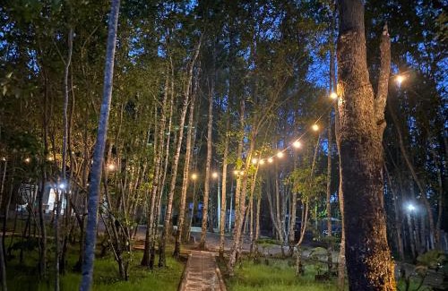 Pucon Resort | Boker Tov Pucon