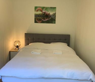 Otterlo House | Bonte Specht: tot rust komen in de natuur!