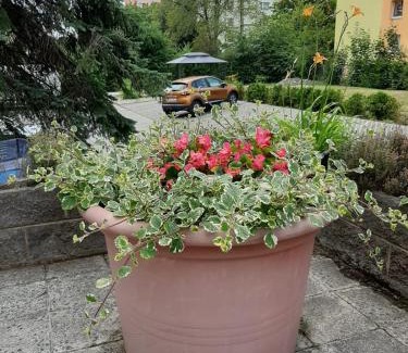 Chomutov Apartment | Bordó apartmán A4 v Chomutově