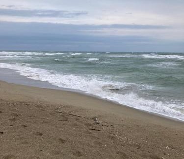 Port Leucate Apartment | BORD DE MER