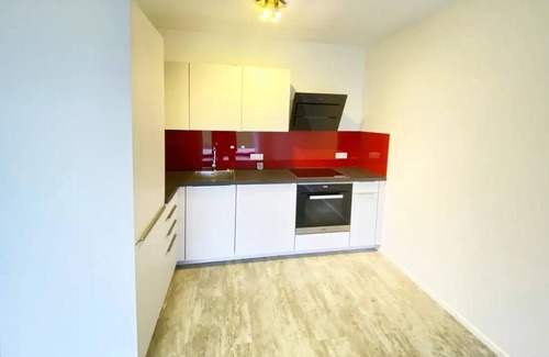 Bad Saeckingen Apartment | Border paradise between thermal spa and lake