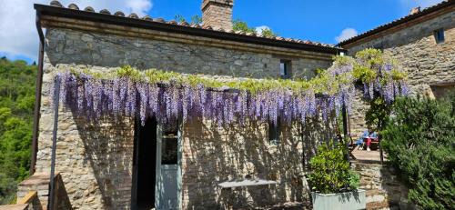 Montone Bed & Breakfast | Borgo Cardaneto