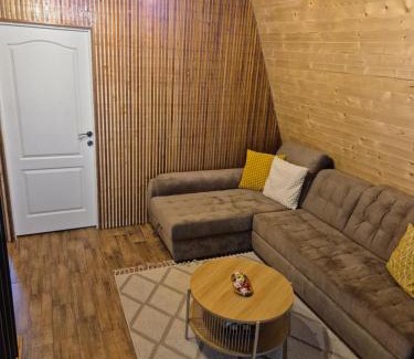 Turnu Ruieni Cabin | Borlova Frame