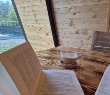 Turnu Ruieni Cabin | Borlova Frame