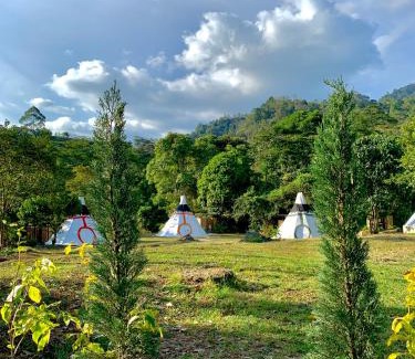 Tena Other | Bosque de Aventura & Glamping El Faro
