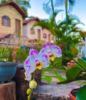 Lencois Hotel | Bosque do Lapão