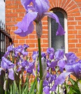 Glasnevin Bed & Breakfast | Botanic View B&B